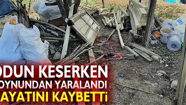 Samsun'da odun keserken boynundan yaralanan genç hayatını kaybetti