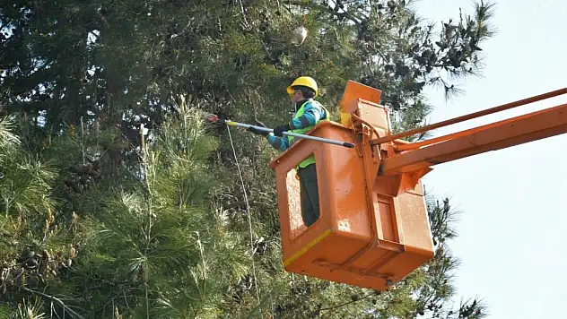 Park ve bahçelere makyaj