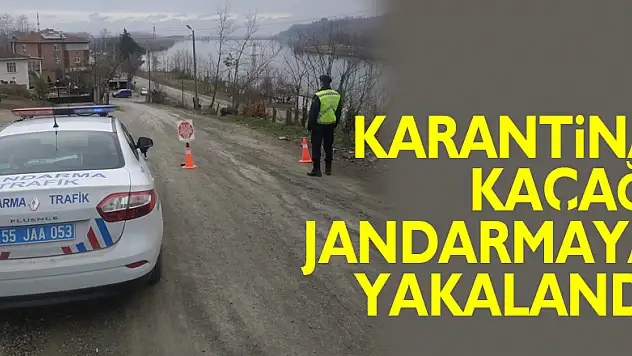 Karantina kaçağı jandarmaya yakalandı