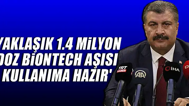 Sağlık Bakanı Koca: 'Yaklaşık 1.4 milyon doz Biontech aşısı kullanıma hazır'