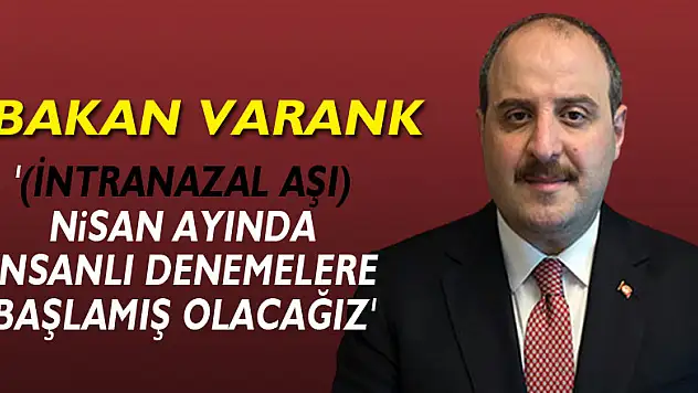 Bakan Varank: '(İntranazal aşı) Nisan ayında insanlı denemelere başlamış olacağız'