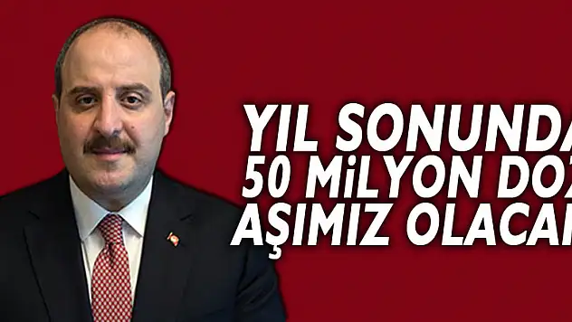 Bakan Varank'tan yerli aşı açıklaması: Yıl sonunda 50 milyon doz aşımız olacak