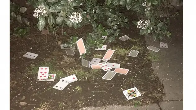 Polisin kumar baskınında oyun kağıtlarını camdan attılar