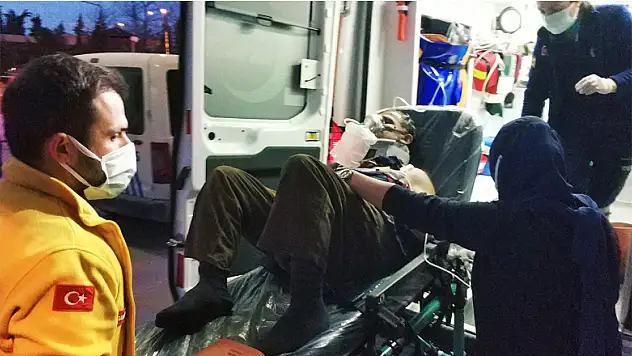 Üzerine kestiği ağaç düşen şahıs hastanelik oldu