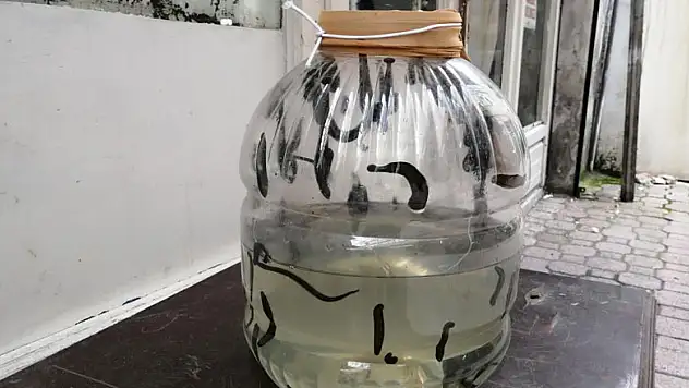 Tarihi çarşıda sülük satılıyor