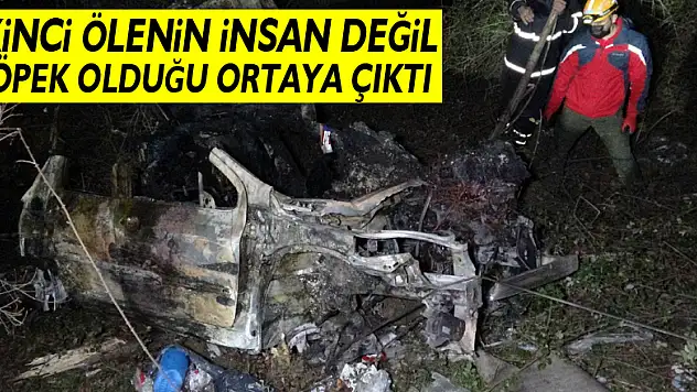Yanan araçtaki ikinci ölenin insan değil köpek olduğu ortaya çıktı