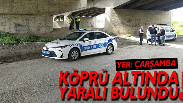Köprü altında yaralı bulundu!