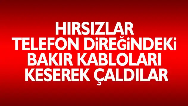 Hırsızlar telefon direğindeki bakır kabloları keserek çaldılar