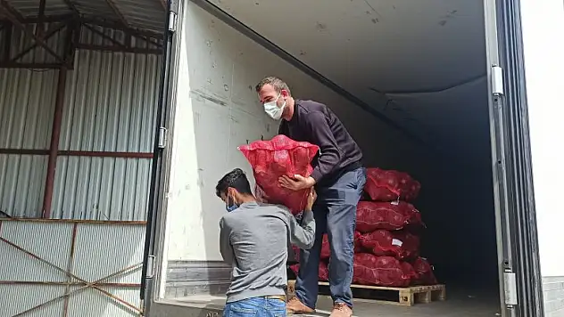 Bafra Ovası'ndan kışlık sebze ihracatı attı  