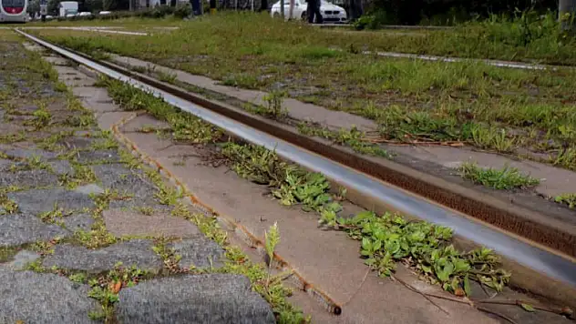 Tırtılların kelebeğe dönüşme yolculuğu raylardan geçiyor