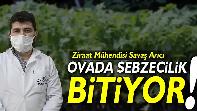 Ovada Sebzecilik bitiyor!