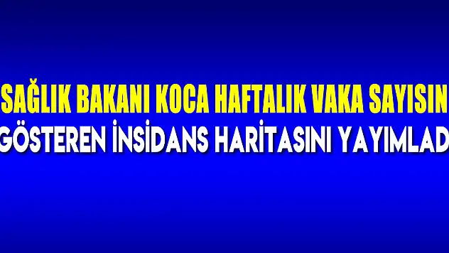 Sağlık Bakanı Koca haftalık vaka sayısını gösteren insidans haritasını yayımladı