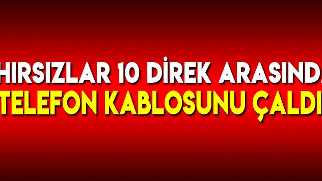 Hırsızlar 10 direk arasında telefon kablosunu çaldı