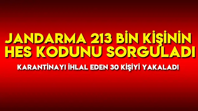Jandarma 213 bin kişinin HES kodunu sorguladı, karantinayı ihlal eden 30 kişiyi yakaladı