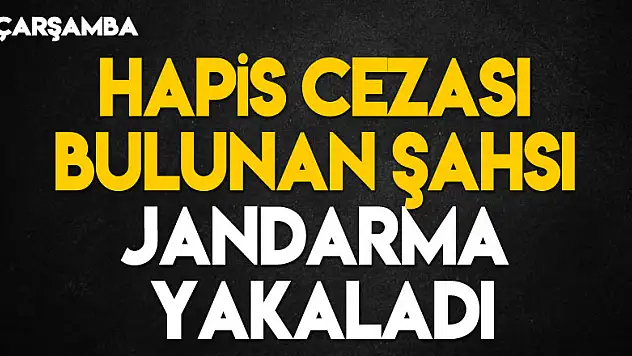 Hapis cezası bulunan şahsı jandarma yakaladı