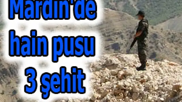 Mardin'de hain pusu: 3 şehit
