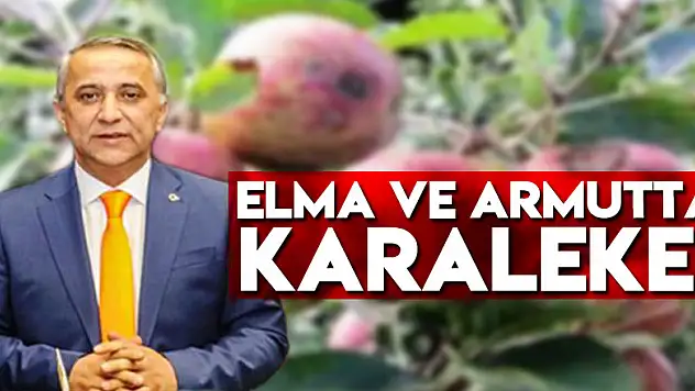 Elma ve Armutta Karaleke!