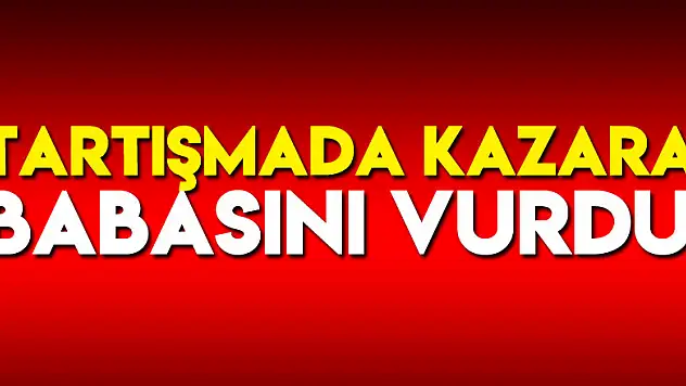 Tartışmada kazara babasını vurdu