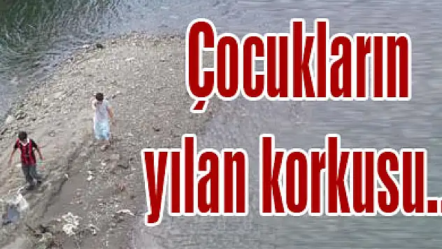 Çocukların yılan korkusu...