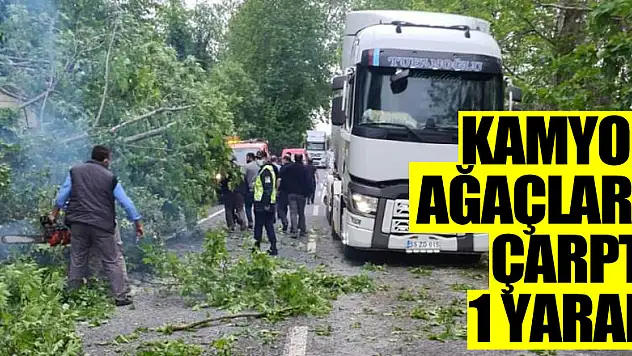 Kamyon ağaçlara çarptı: 1 yaralı