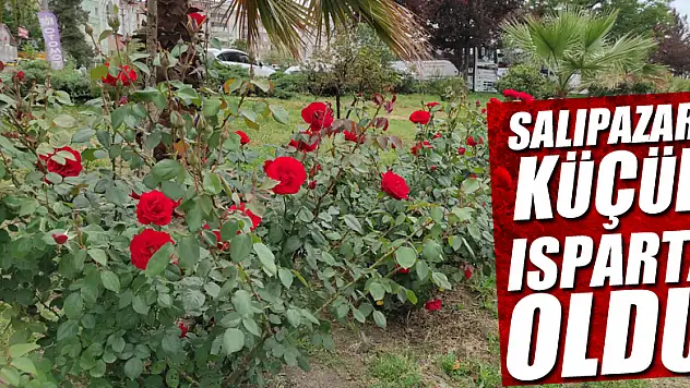 SALIPAZARI KÜÇÜK ISPARTA OLDU