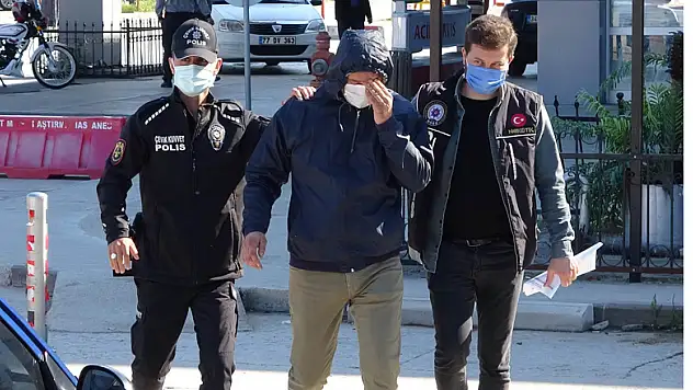 Samsun'da kapalı alanda kenevir yetiştirenlere operasyon: 11 gözaltı