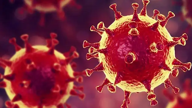 Koronavirüste son durum ne? Vaka sayıları açıklandı