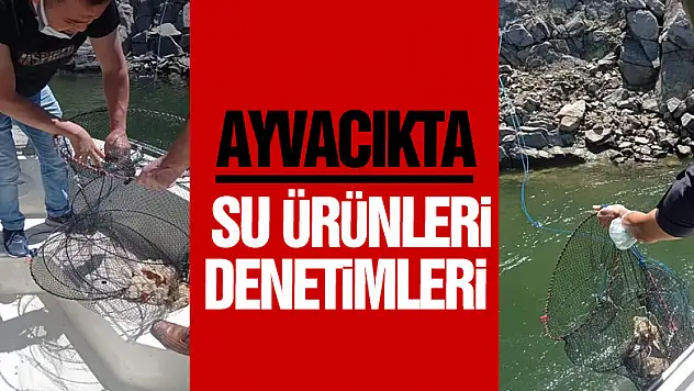 AYVACIKTA SU ÜRÜNLERİ DENETİMLERİ