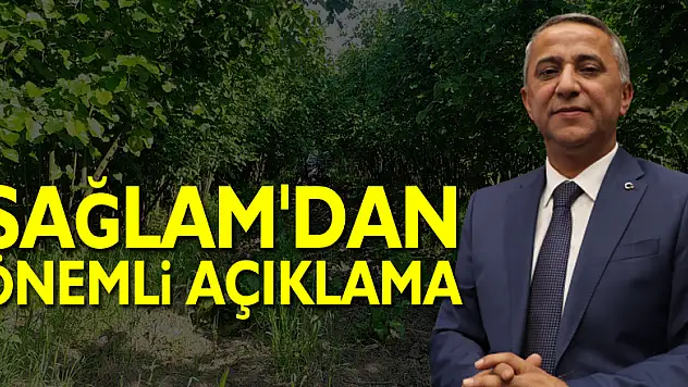 Sağlam'dan Önemli Açıklama