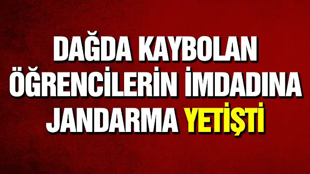 Dağda kaybolan öğrencilerin imdadına jandarma yetişti