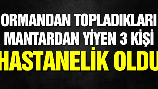 Ormandan topladıkları mantardan yiyen 3 kişi hastanelik oldu