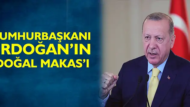 Cumhurbaşkanı Erdoğan'ın 'doğal makas'ı