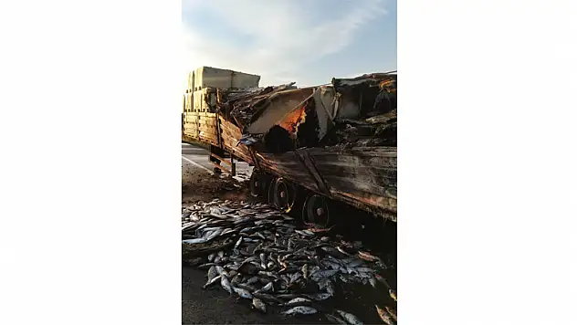 Balık yüklü tırda yangın