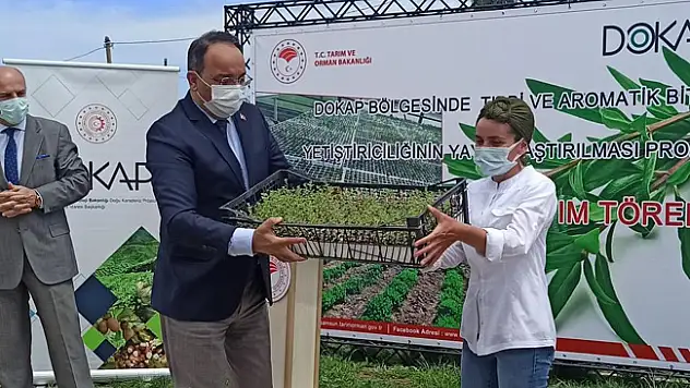 Kekik Fide Dağıtım ve Dikimi Tarla Günü