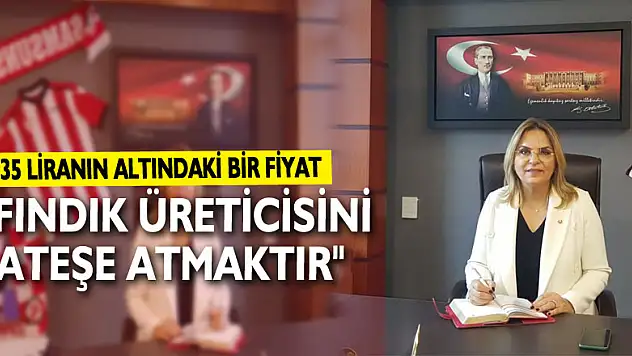 Hancıoğlu: '35 liranın altındaki bir fiyat, fındık üreticisini ateşe atmaktır'