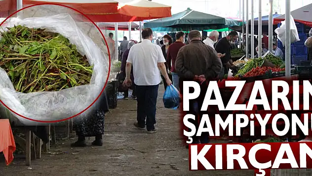 Pazarın Şampiyonu Kırçan