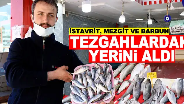 İstavrit, mezgit ve barbun tezgahlardaki yerini aldı