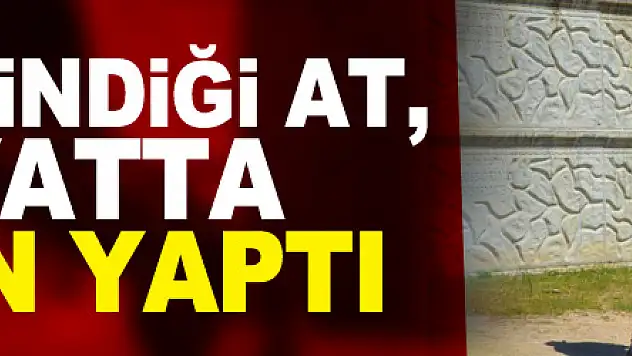 Askerde bindiği at, sivil hayatta şampiyon yaptı