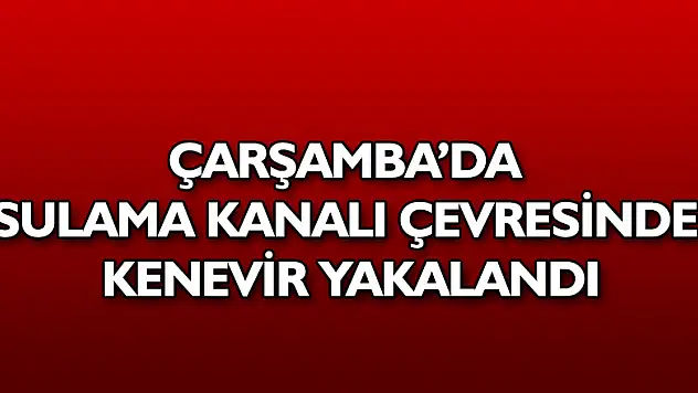 Sulama kanalı çevresinde kenevir bitkisi ve 500 gram kubar esrar ele geçirildi