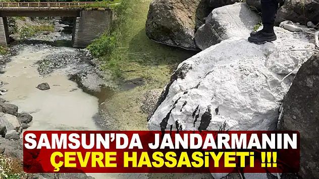 Samsun'da jandarmanın çevre hassasiyeti !!!
