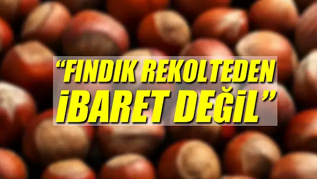 'Fındık rekolteden ibaret değil'