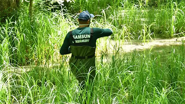 Samsun Büyükşehir Belediyesi 17 ilçede vektör mücadelesi başlattı