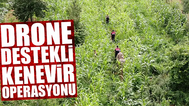 Drone destekli kenevir operasyonu