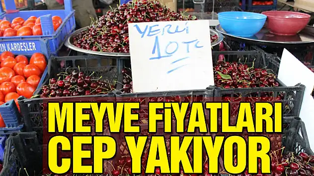 Meyve Fiyatları Cep Yakıyor