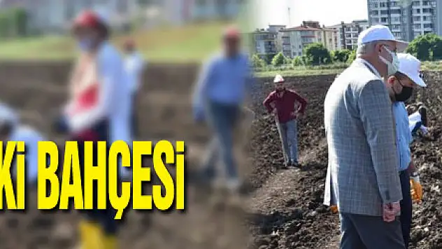 OMÜ'ye tıbbi-aromatik bitki bahçesi