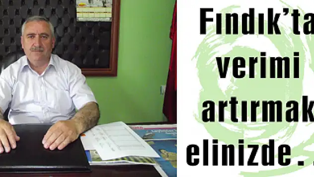 Fındık'ta verimi artırmak elinizde…