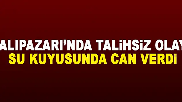 SALIPAZARI'NDA TALİHSİZ OLAY! SU KUYUSUNDA CAN VERDİ