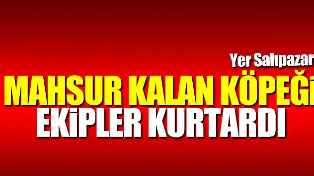 MAHSUR KALAN KÖPEĞİ EKİPLER KURTARDI