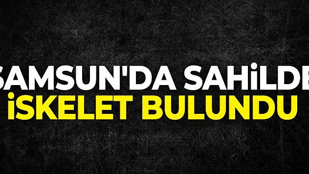 Samsun'da sahilde bulunan iskelet İstanbul Adli Tıp'a gönderildi