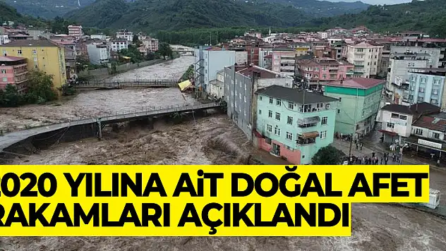 Samsun'da 2 binden fazla çiftçi ve 26 bin dekar alan afetlerden zarar gördü